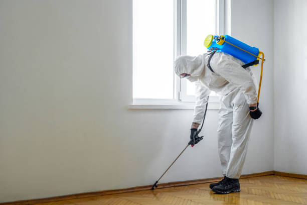 Best Best Pest Control Companies  in Millersburg, PA