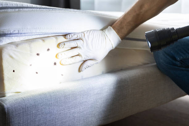 Best Pest Inspection Near Me  in Millersburg, PA
